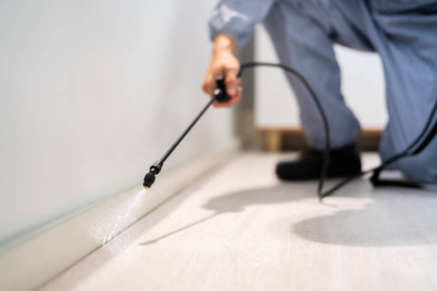 Licensed Cockroach Control service in Dublin, CA - Nex Pest Control